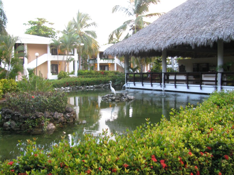 Dominican Republic 126.jpg